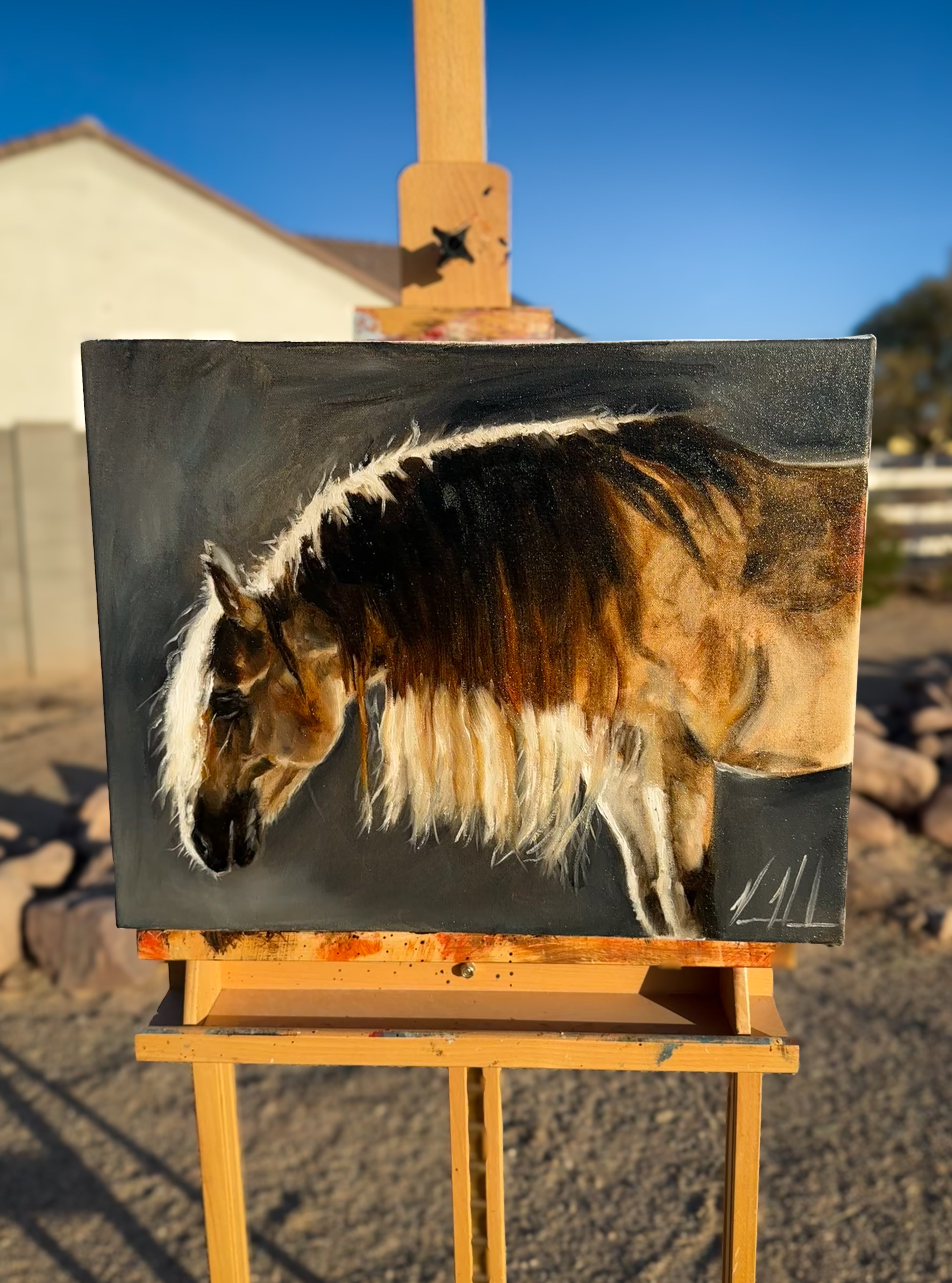 Illumination- 16”x20” Original Oil Painting Original Painting Vanessa Horabuena