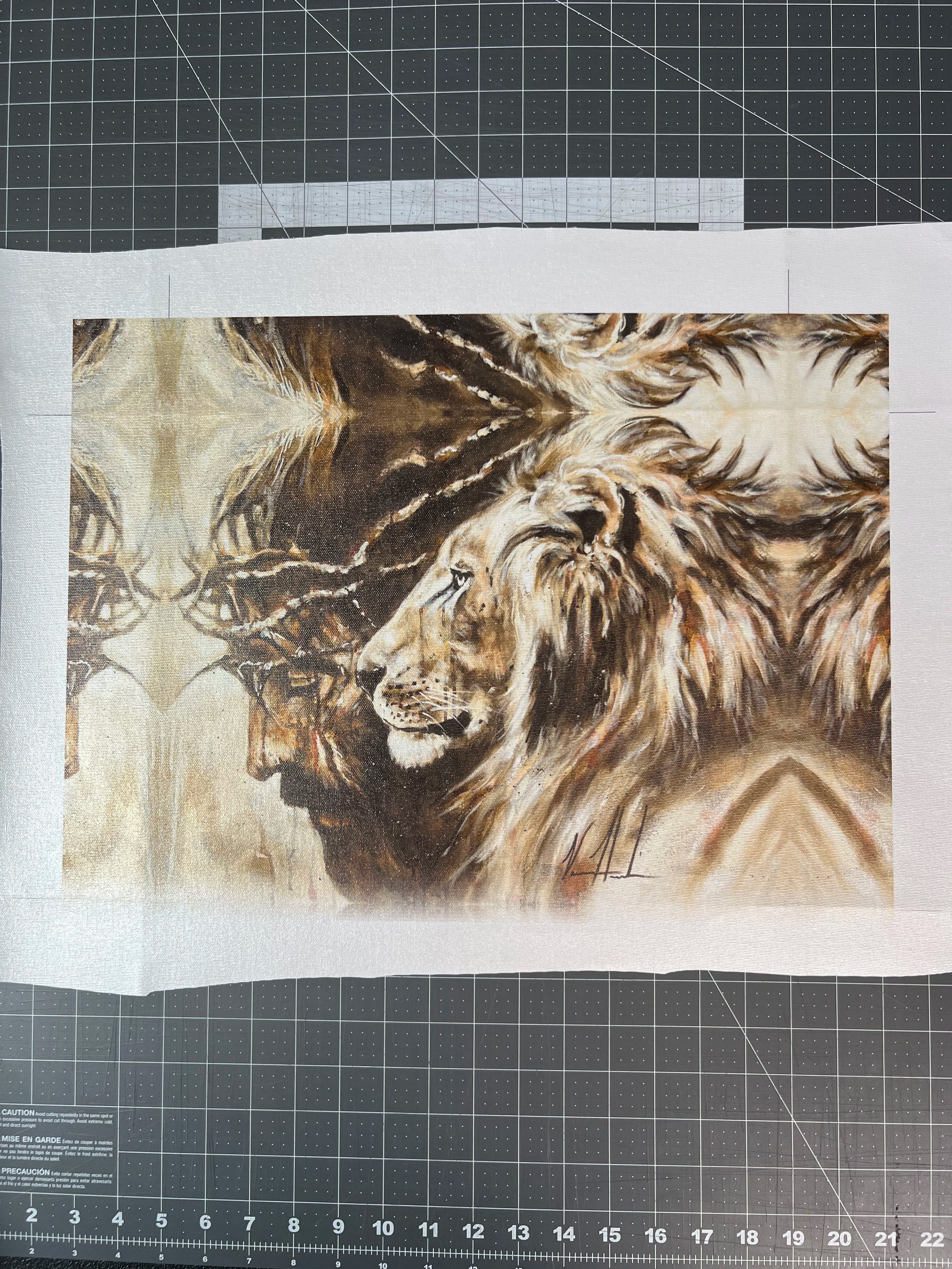 CM# 53 - Heaven's Grace - 11"x14" Canvas Print Vanessa Horabuena