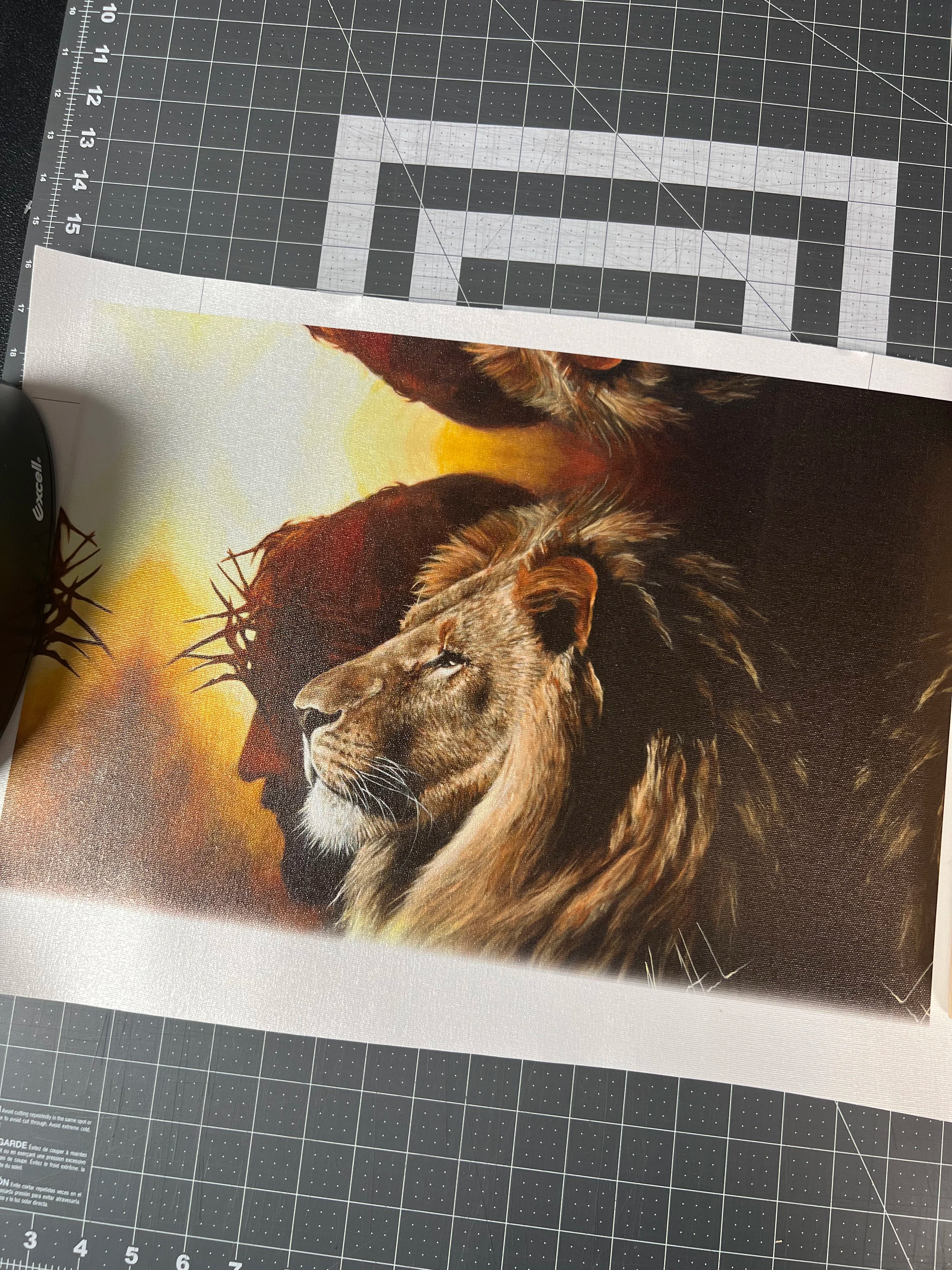 CM# 67 - The Lion of Judah - 11"x14" Canvas Print Vanessa Horabuena