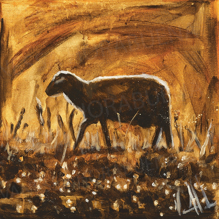 Rise of A New Day Vanessa Horabuena