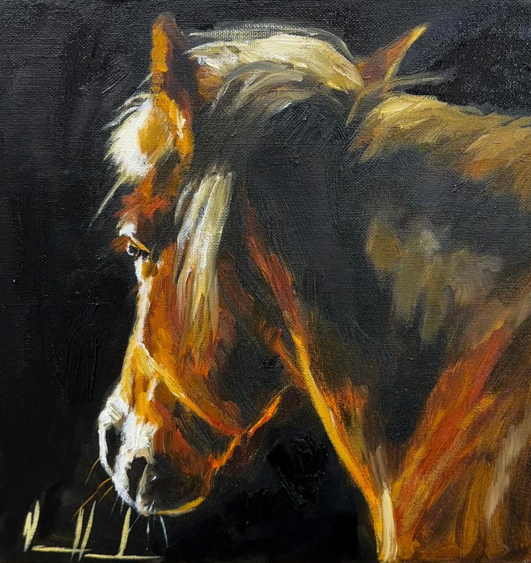 Strength Through the Shadows - 12”x12” Original Oil Painting Original Painting Vanessa Horabuena