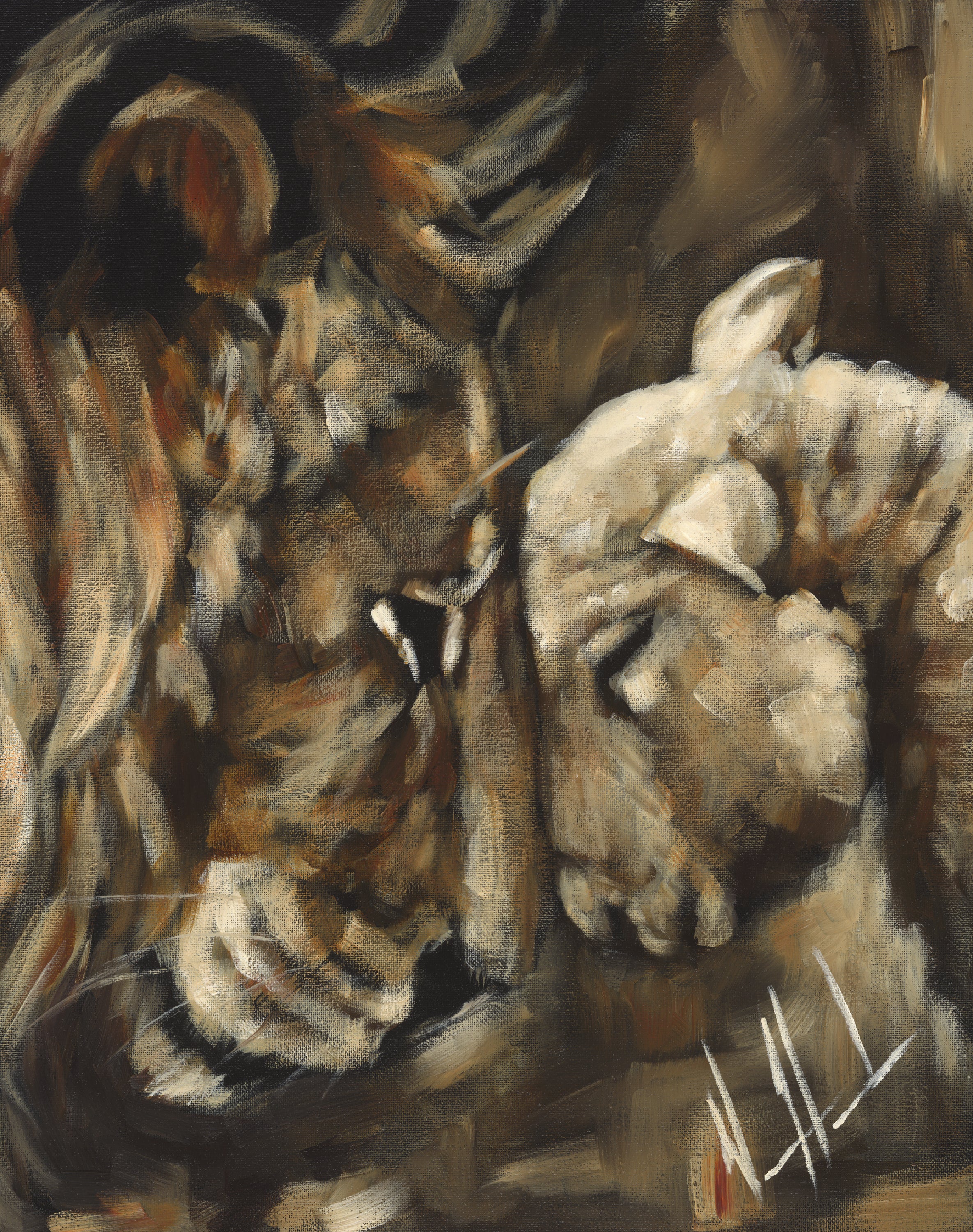 DESIGN DISCONTINUED - Compassion of a King (Fall Collection)