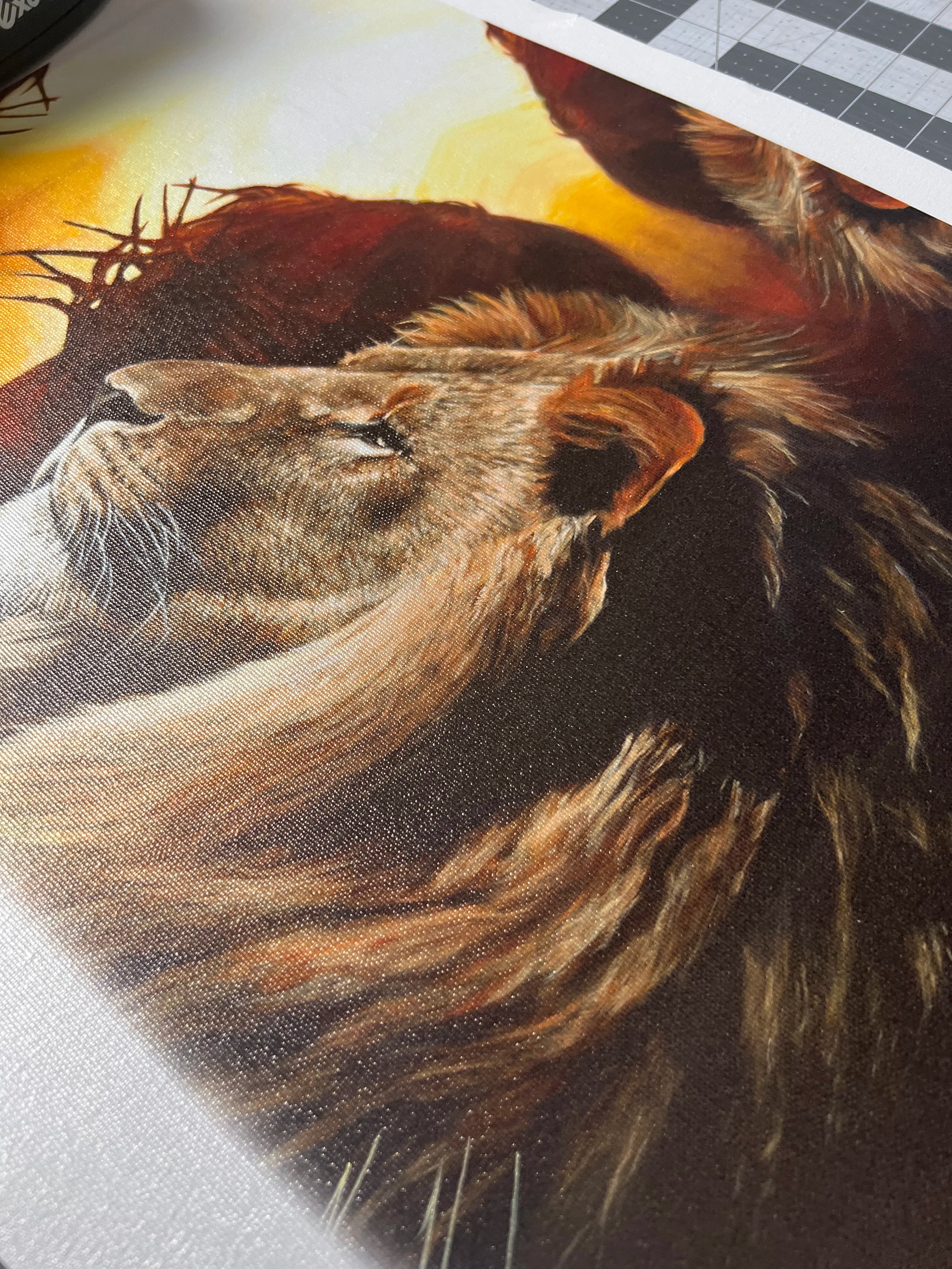 CM# 67 - The Lion of Judah - 11"x14" Canvas Print Vanessa Horabuena