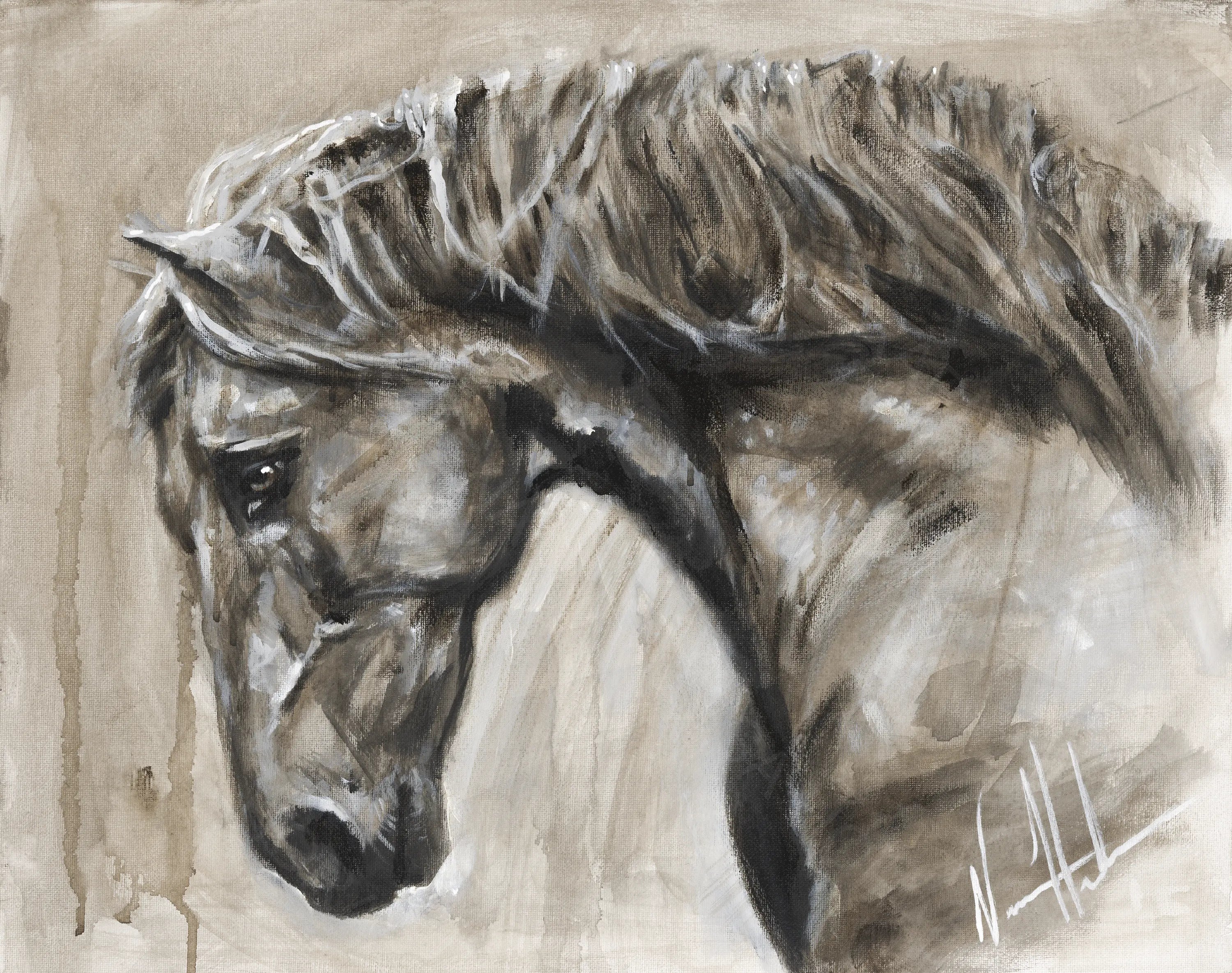 Momentum Horse Art Print Vanessa Horabuena