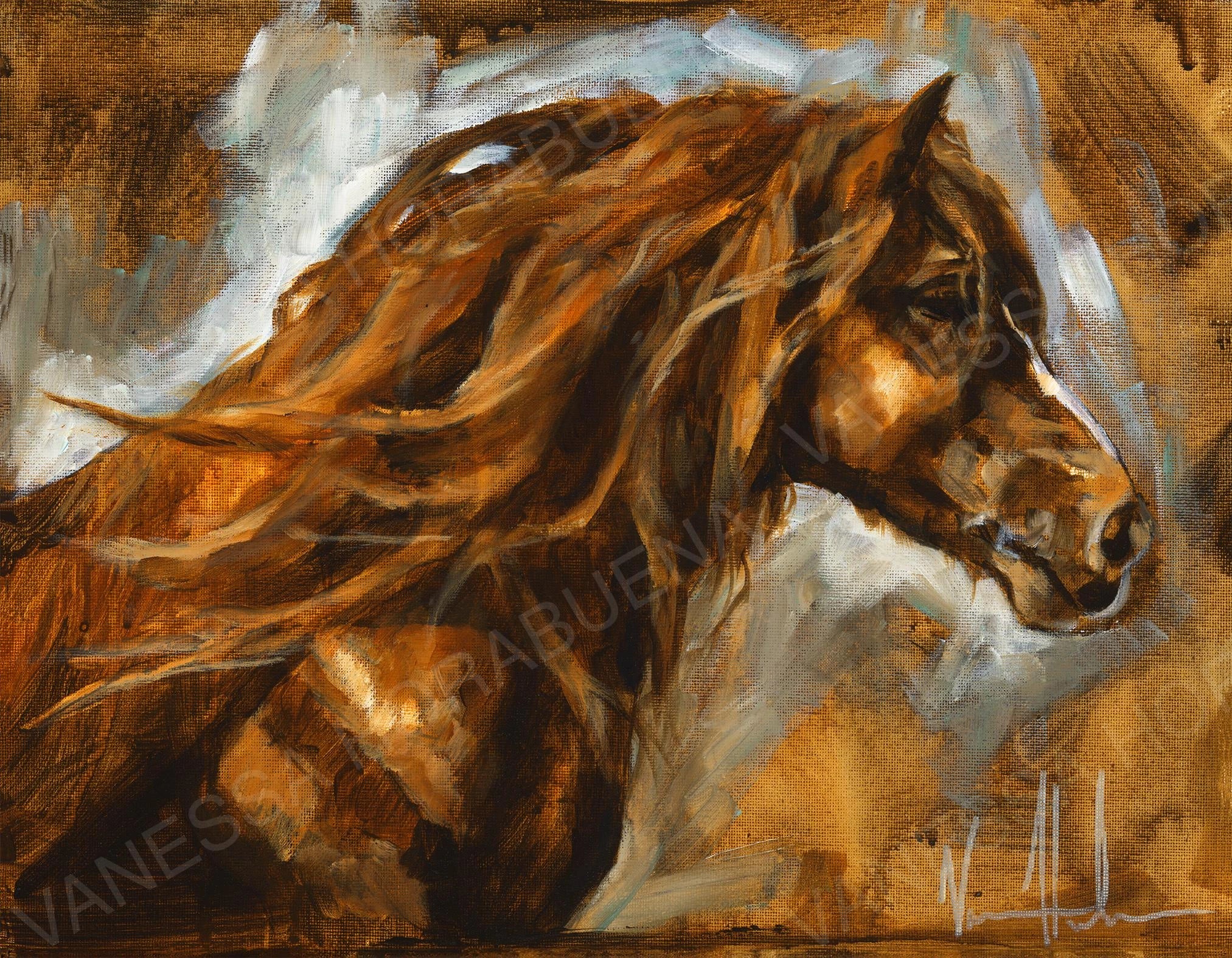 Seek Truth Horse Art Print Vanessa Horabuena