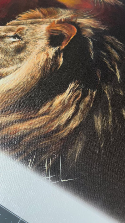 CM# 67 - The Lion of Judah - 11"x14" Canvas Print Vanessa Horabuena