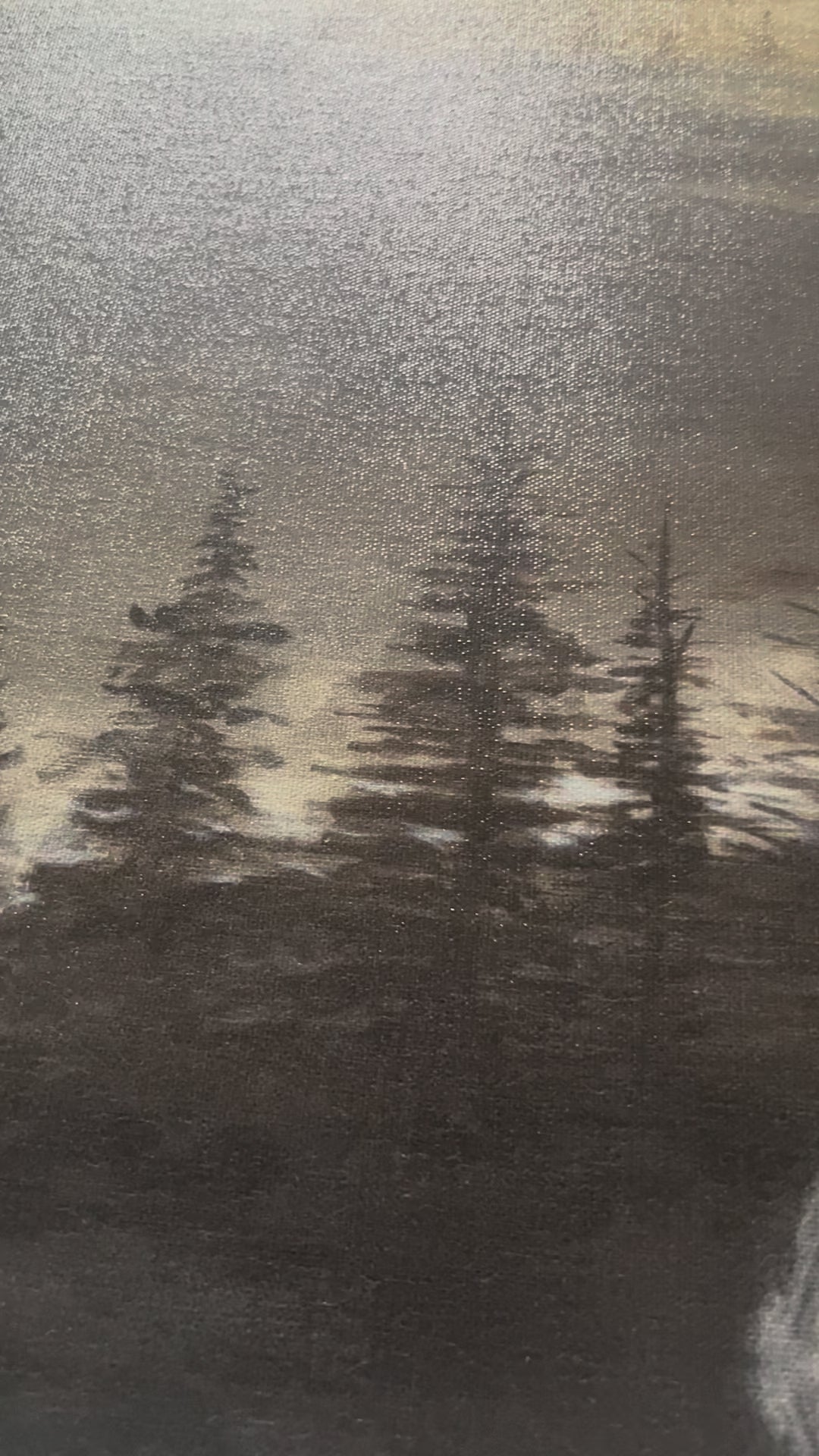 CM# 40 - Beauty for Ashes - 30"X40" - Canvas Print Vanessa Horabuena