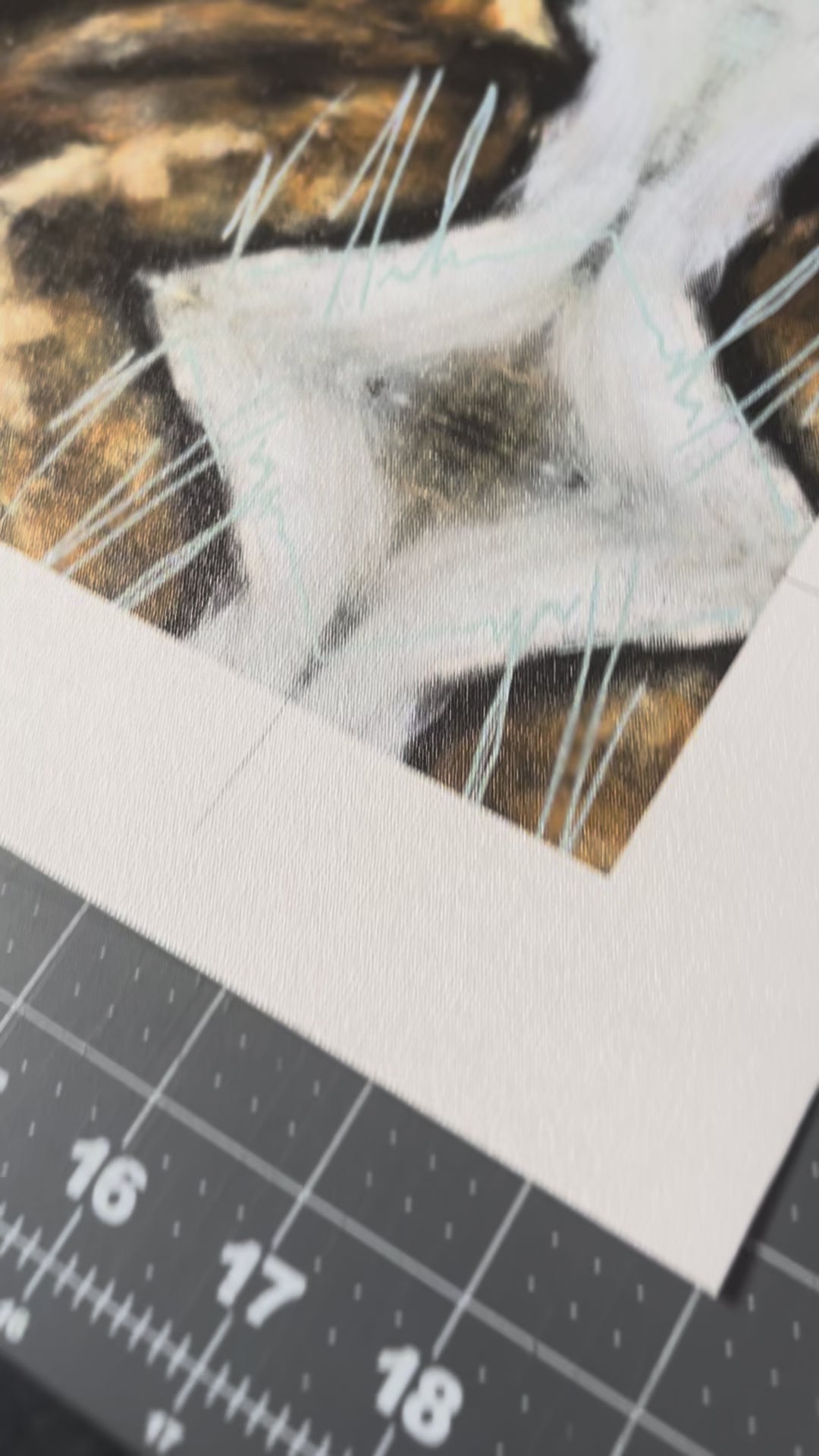 CM# 54 - Watcher of the Sparrow - 11"x14" Canvas Print Vanessa Horabuena