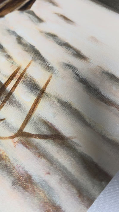 CM# 48 - Walk By Faith - 30"x40" Canvas Print Vanessa Horabuena